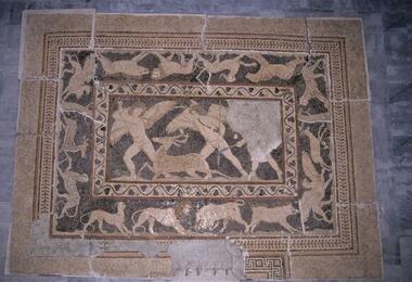 Greco-Roman Museum Mosaic Conservation