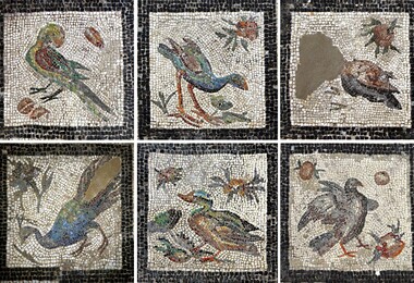 Villa of the Birds Mosaic Conservation